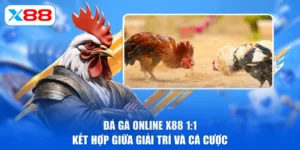 Đá Gà Online X88 1:1 | Kết Hợp Giữa Giải Trí Và Cá Cược