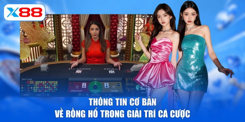 Thông tin cơ bản về Rồng Hổ trong giải trí cá cược